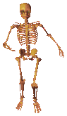 Witchaven - Esqueleto